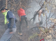Petugas Antisipasi Meluasnya Kebakaran Alun-Alun Suryakencana Gunung Gede