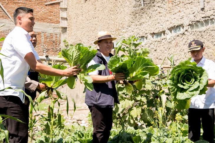 kebun