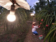 Kurangi Impor Bahan Bakar, PLN Mendorong Pertanian dan Perikanan Berbasis Listrik
