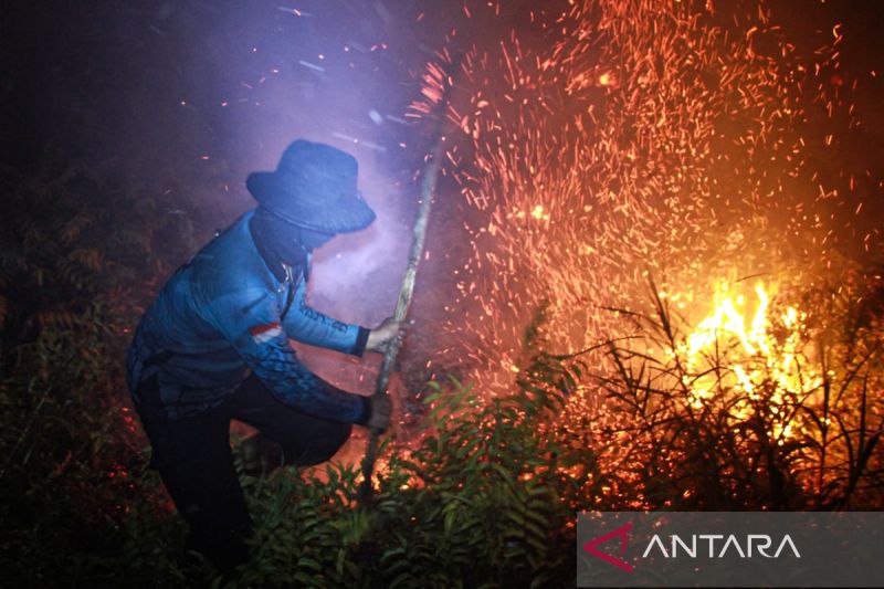 BNPB Ungkap 7.377 Titik Panas di Kalimantan Barat, Karhutla Makin Mengkhawatirkan