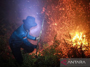 BNPB Ungkap 7.377 Titik Panas di Kalimantan Barat, Karhutla Makin Mengkhawatirkan