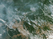 Hutan Amazon Sumber 30% Oksigen Dunia Capai Rekor Kebakaran Terparah