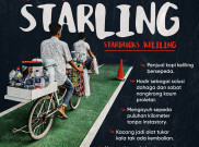 Lika-Liku Starling 'Starbucks Keliling'
