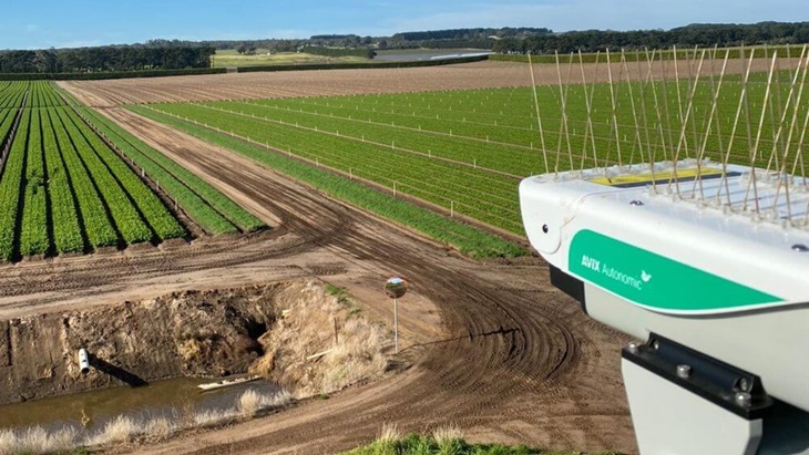 Canggih, Orang-Orangan Sawah Dibekali Laser untuk Usir Hama