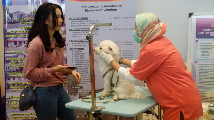 Jakarta Indonesia Pet Show 2019