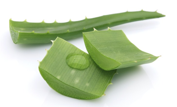 Cara Membuat Masker Wajah Alami dari Lidah Buaya