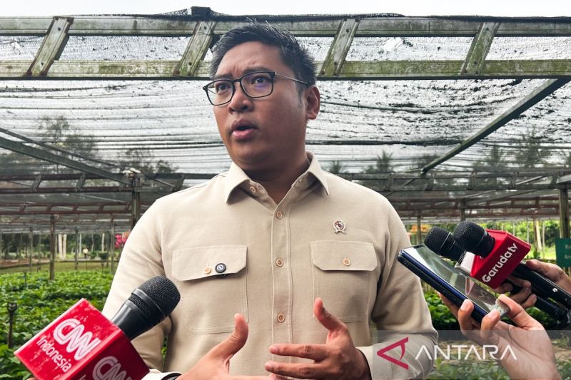 Kopdes Merah Putih Bakal Jadi Pusat Penyediaan Barang Strategis dan Pusat Distribusi Bantuan