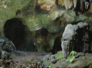 Menengok 