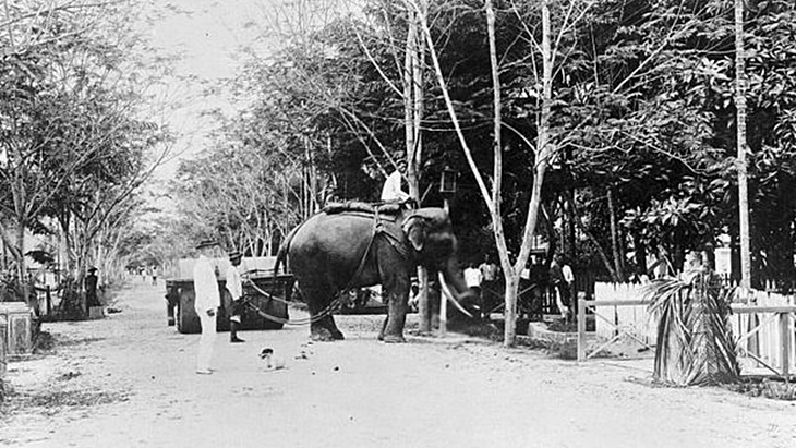 Telaga Tunggal, Sumur Minyak Pertama di Indonesia
