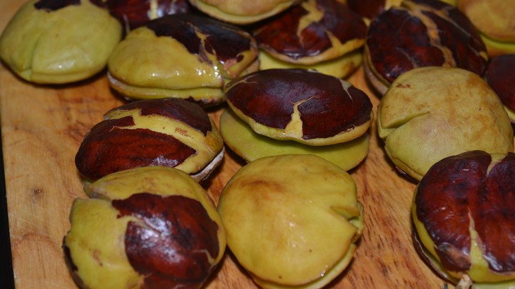 Jengkol, Si Bau yang Ternyata Memberikan Banyak Manfaat