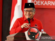 Hasto Mengamini Pernyataan Connie soal Prabowo Menjabat 2 Tahun jika Jadi Presiden