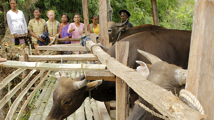 Pencairan Dana Desa di NTB Terhambat  