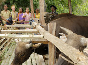 Pencairan Dana Desa di NTB Terhambat  