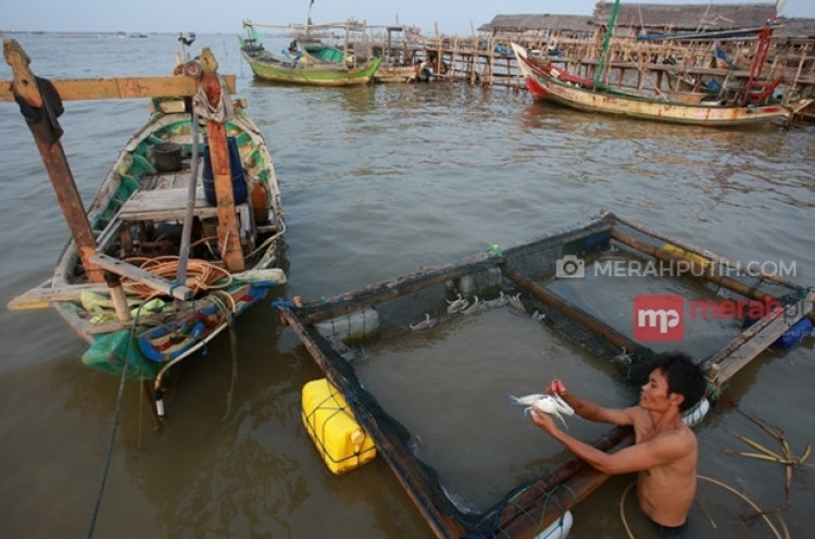Hadapi Cuaca Buruk, Ini yang Dilakukan Nelayan Pacitan