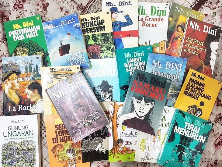 novel nh dini
