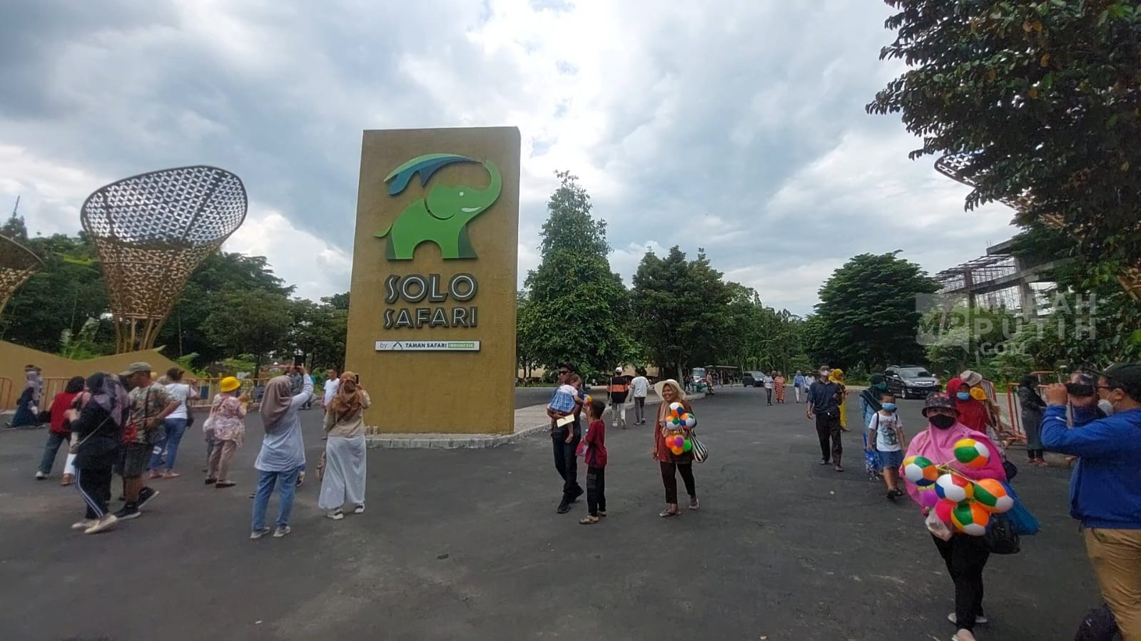 2 Gajah Sumatera di Solo Safari Mati Mendadak, Pemkot Lakukan Inventarisasi Hewan