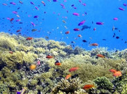 Berkelanjutan, Kunci Pariwisata Indonesia Langgeng