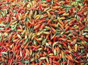 Stabilitas Harga Pangan Jelang Nataru 2025/2026, Mendag Waspadai Faktor Cuaca