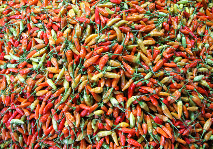 Stabilitas Harga Pangan Jelang Nataru 2025/2026, Mendag Waspadai Faktor Cuaca