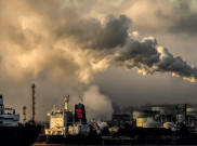 Transisi Energi Butuh Transformasi Ekonomi dan Masyarakat