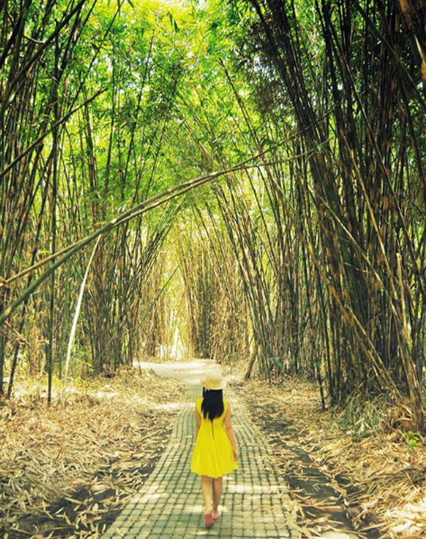 hutan bambu desa penglipuran