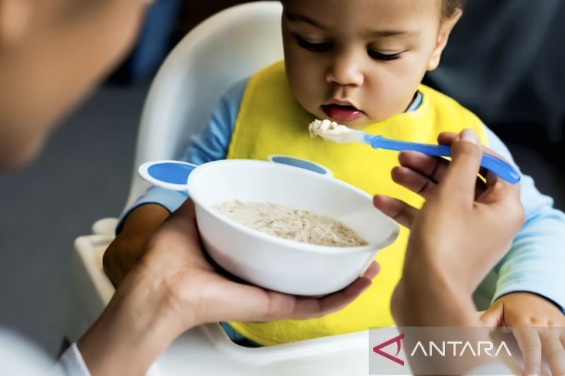 Pentingnya Pemenuhan Kebutuhan Protein Hewani Pada Anak