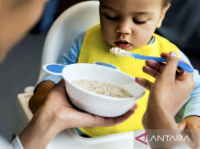 Pentingnya Pemenuhan Kebutuhan Protein Hewani Pada Anak