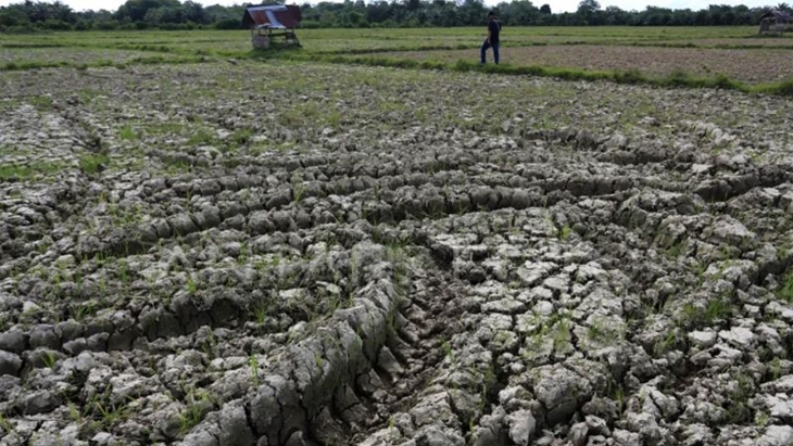 Ancaman Kekeringan di Depan Mata, Anggota DPR Wanti-Wanti Kenaikan Harga Pangan