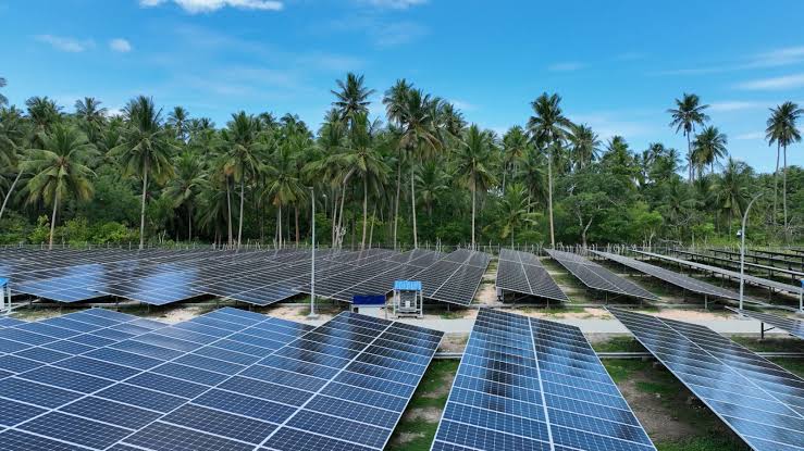 Pembangunan PLTS Jangan Sampai Korbankan Pertanian, Pakar: Konsep Agrivoltaics Sangat Relevan
