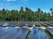Pembangunan PLTS Jangan Sampai Korbankan Pertanian, Pakar: Konsep Agrivoltaics Sangat Relevan