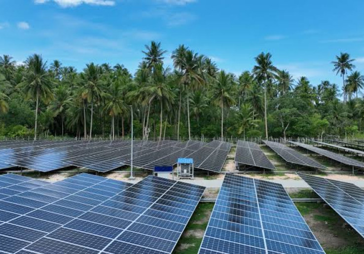 Pembangunan PLTS Jangan Sampai Korbankan Pertanian, Pakar: Konsep Agrivoltaics Sangat Relevan