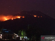 Gunung Berapi Ile Lewotolok Terbakar Akibat Lontaran Lava Pijar