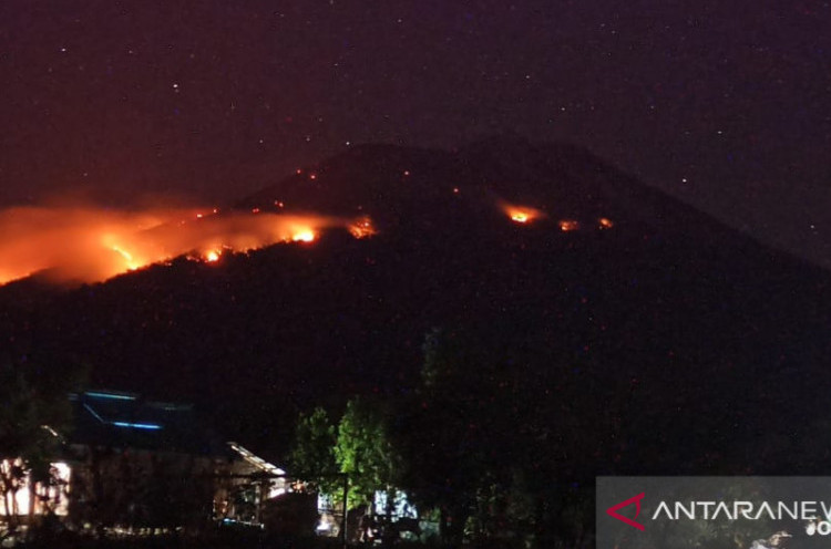 Gunung Berapi Ile Lewotolok Terbakar Akibat Lontaran Lava Pijar