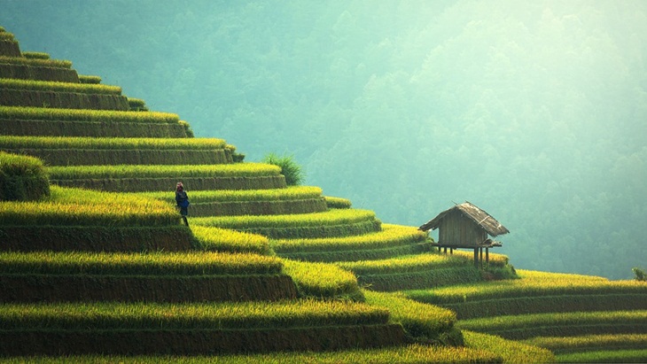 Indonesia Peringkat Ke-6 Negeri Terindah Dunia, ini Daya Tarik Tertinggi Menurut para Traveler Global