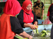 Kemenaker Terima Ribuan Laporan Terkait Penundaan THR