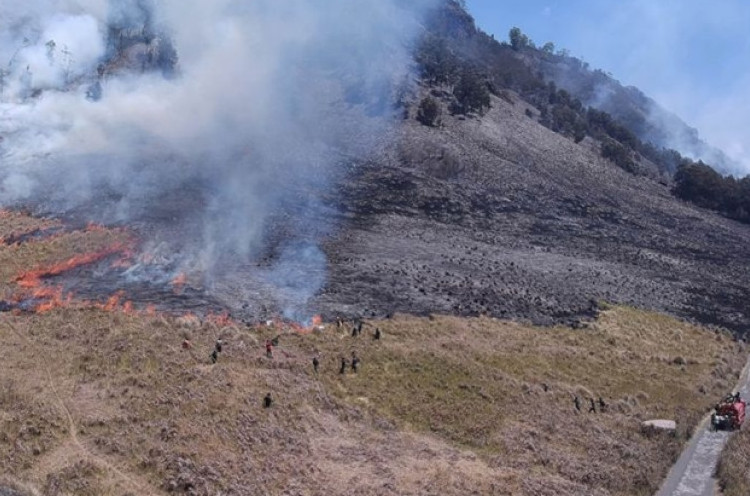 Pengelola Wedding Organizer Picu Kebakaran di Gunung Bromo Terancam Pidana dan Perdata