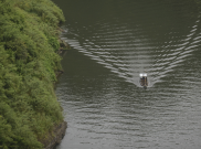 Citarum Tak Kunjung Bersih, Inovasi Ini Dijamin Manjur Kata Ridwan Kamil