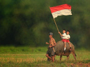 Makna Kemerdekaan Indonesia yang Sesungguhnya