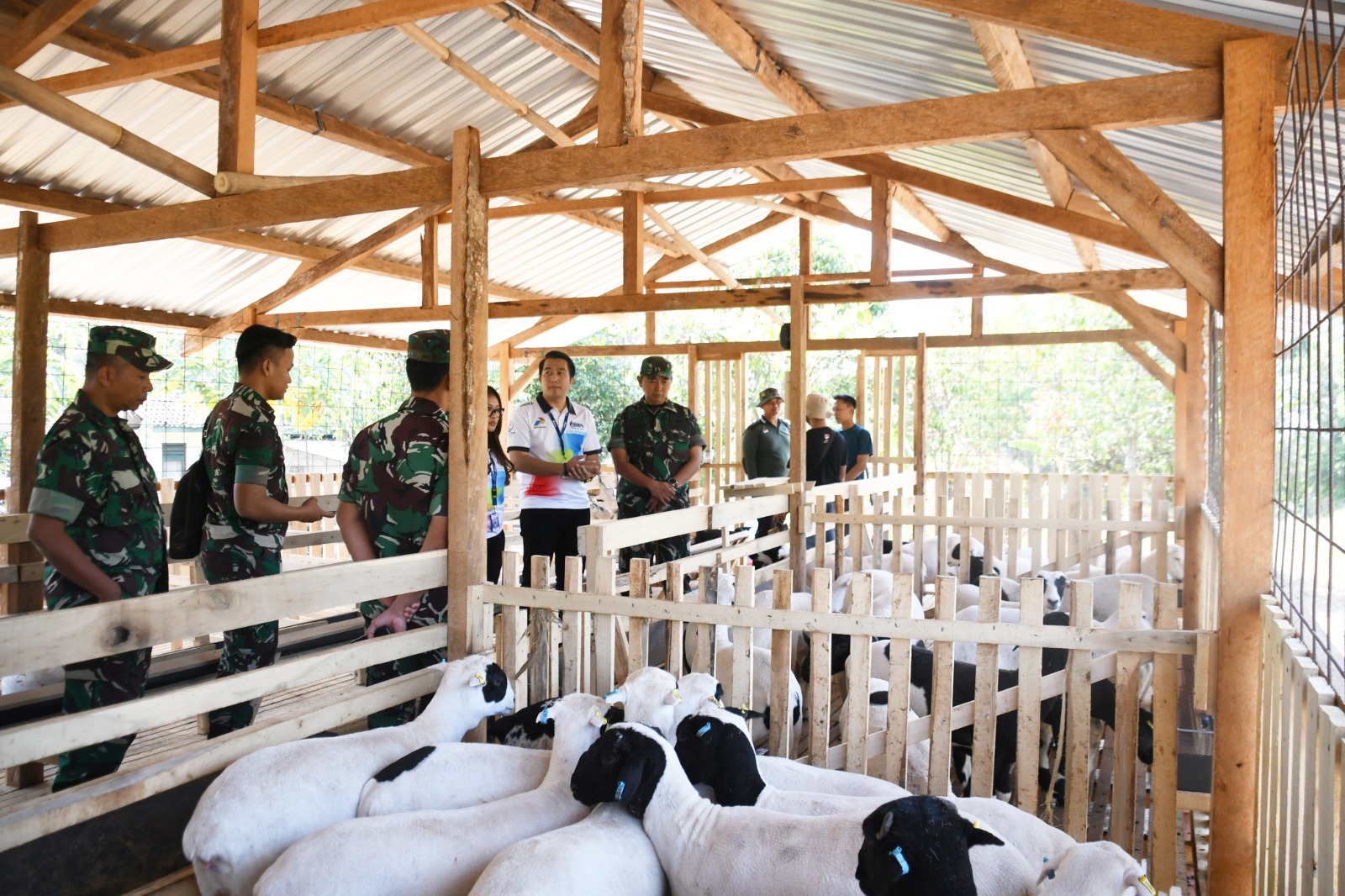 Danrem 074/Warastratama Gagas Program Budidaya Domba