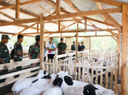 Danrem 074/Warastratama Gagas Program Budidaya Domba