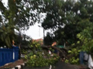 Sejumlah Kerusakan Akibat Hujan Badai di Depok