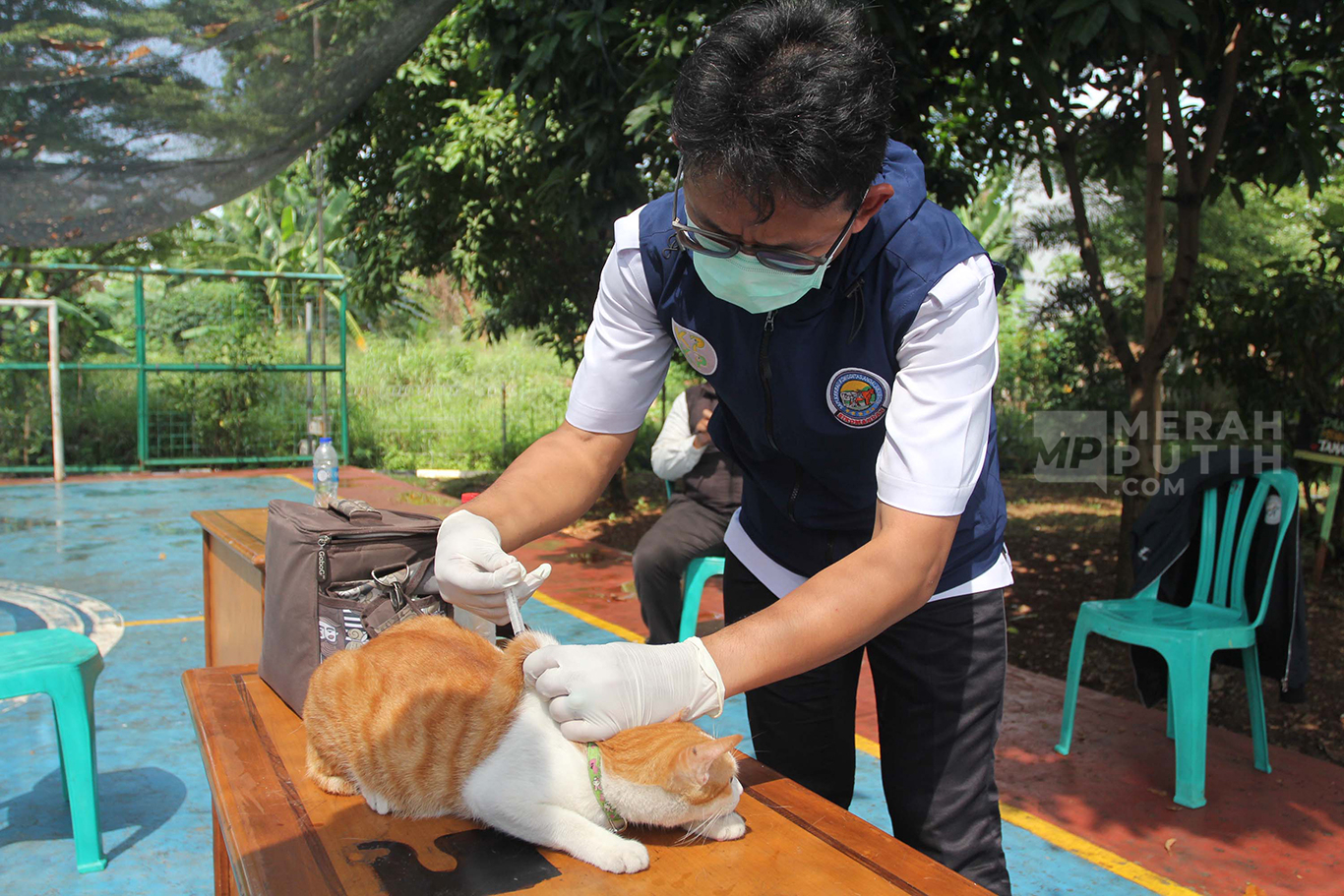 Petugas kesehatan menyuntikkan vaksin rabies untuk kucing di RPTRA Petukangan Berseri, Jakarta, Rabu (14/05/2025). 
