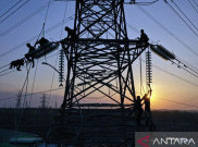 Komisi VI DPR Akan Evaluasi Holding PLN