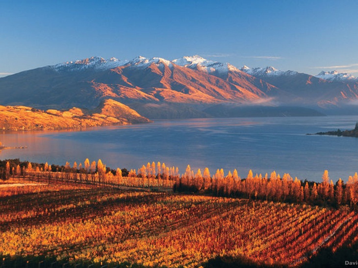Pemandangan di musim gugur. (Foto: newzealand.com)