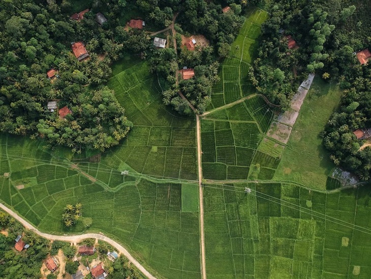 Intip Keunggulan Drone Industri DJI M350 RTK