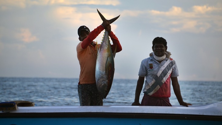 Indonesia Jadi Pemasok Terbesar Tuna di Dunia, Orang Kita hanya Kebagian Tongkol