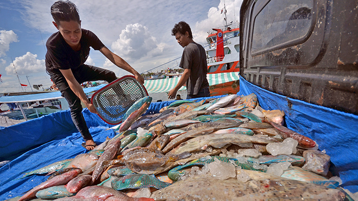  LSM: Pasokan Pangan Perikanan Harus Terjaga Kualitas