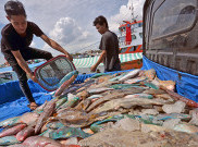  LSM: Pasokan Pangan Perikanan Harus Terjaga Kualitas