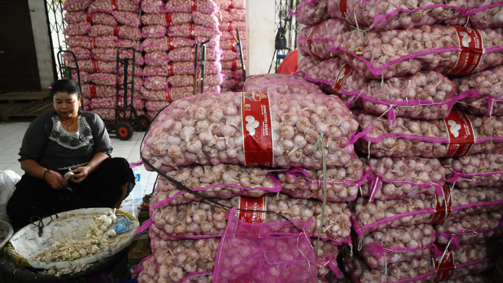 Pemerintah Keluarkan Peraturan Impor Bawang Putih