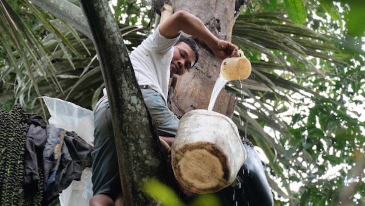 Mengecap Manisnya Tuak, Menyelami Kehidupan Orang Batak